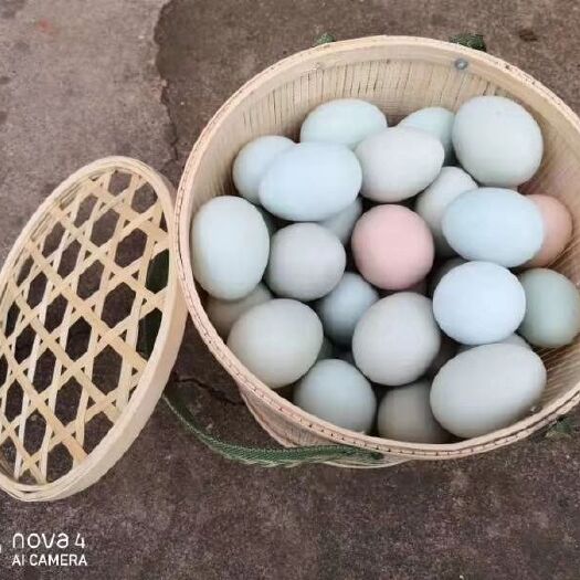 石门县 鸡蛋出售