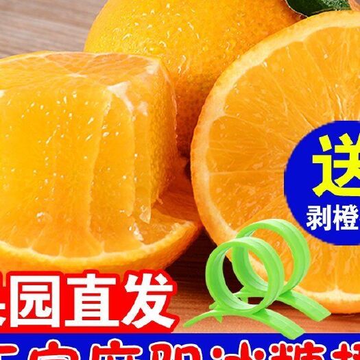  麻阳冰糖橙产地直供