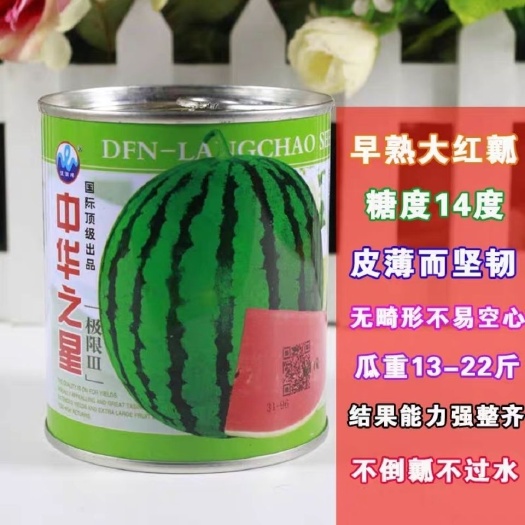 中华之星西瓜种子早熟大果京欣地雷瓜大红瓤超甜皮薄花皮圆瓜春