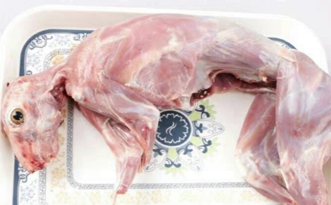 肥东县杂交兔 兔肉