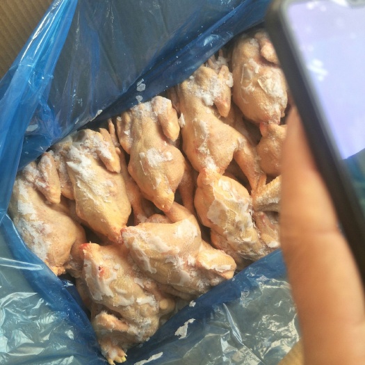 聊城 白条鸡