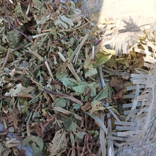 花生秧 大量供应