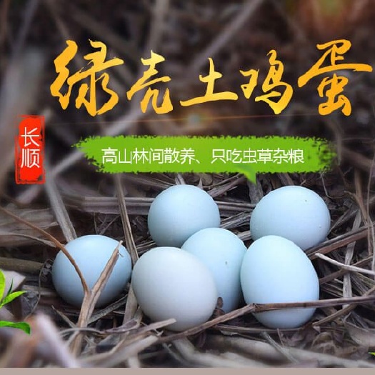 长顺县绿壳鸡蛋  贵州省长顺县，地标产品林下散养绿壳土鸡蛋！