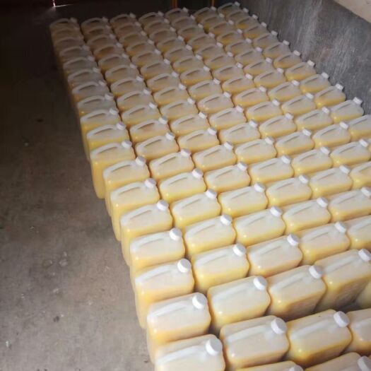泰安 自家加工花生油