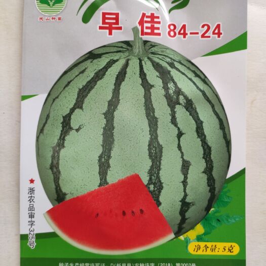 沭阳县 西瓜种子8424西瓜种子杂交薄皮西瓜酥甜含糖量高春秋种西瓜