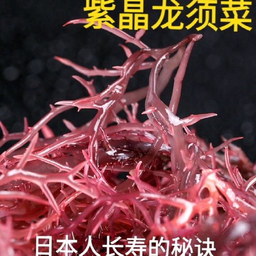 褐藻  盐渍紫晶龙须菜红藻菜海洋中美味日本人长寿的秘诀吃海菜5斤包邮