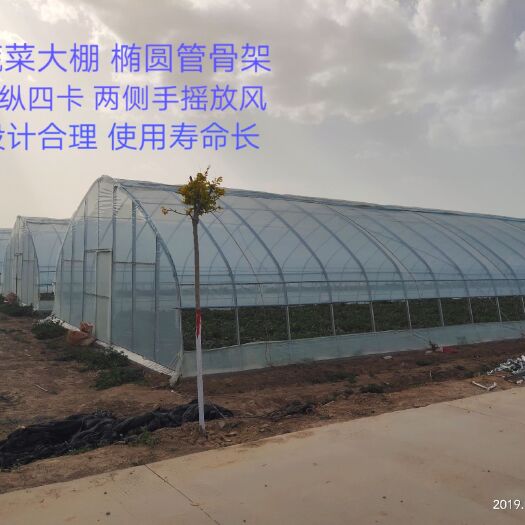 天津 蔬菜棚 养殖棚 长宽可任意设定 椭圆管大棚 椭圆管骨架