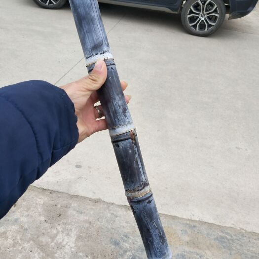 博白县广西黑皮甘蔗