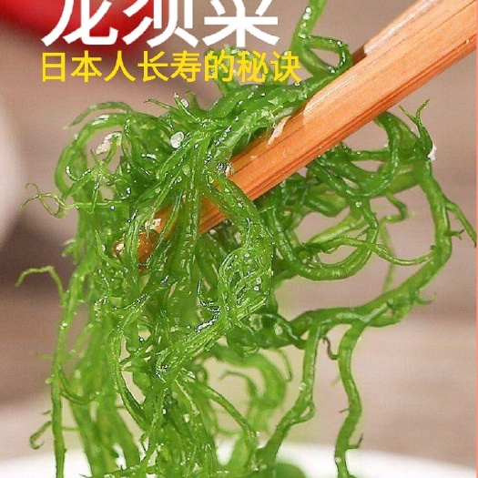 龙须菜  盐渍日本人长寿的秘诀常吃海洋中的食物5斤装包邮