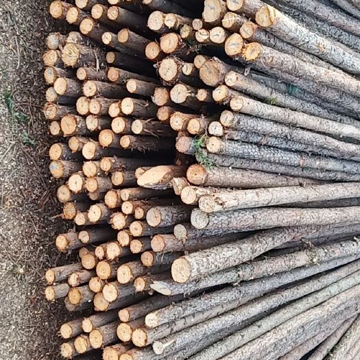 木材  主营杉木原木，绿化支撑杆，打桩料。古建筑杉木