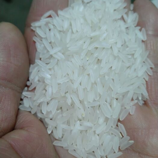 随州 同炎慧合作社梨园金穗大米