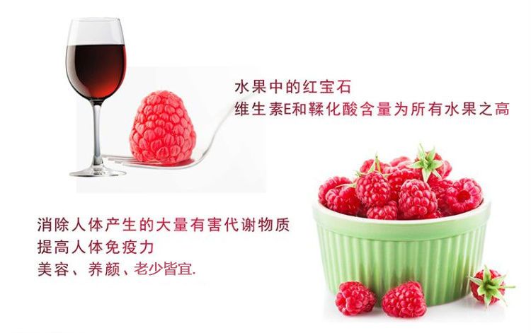  树莓苗