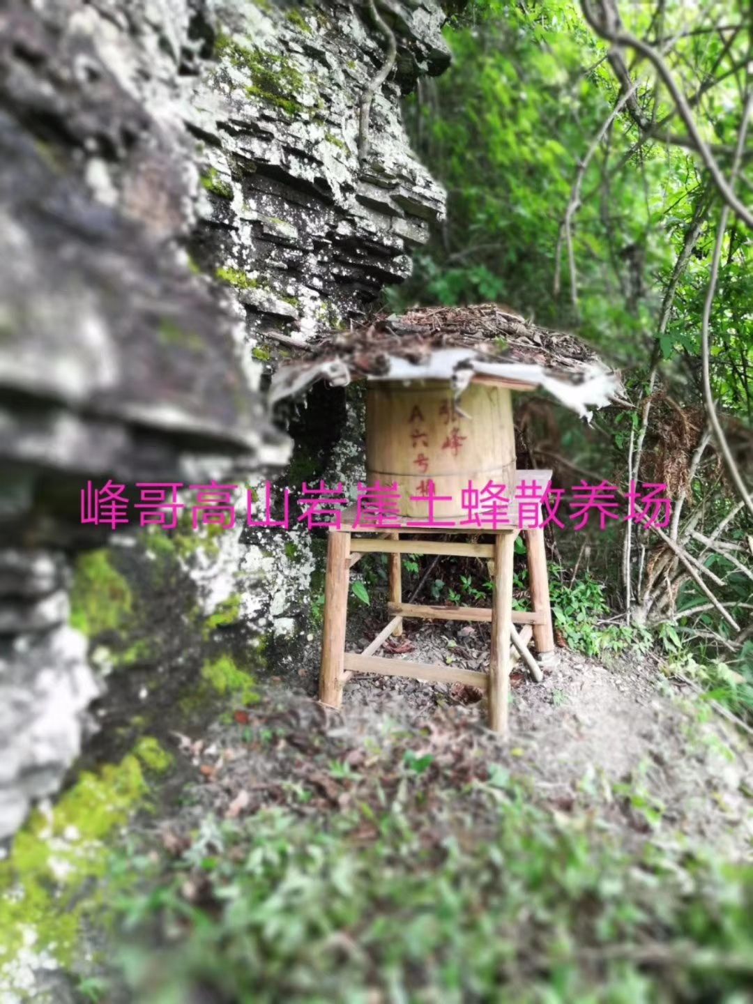  湘西峰哥高山岩崖野土蜂蜜