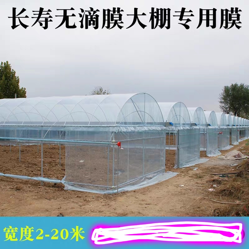 棚膜 精品PO膜 塑料薄膜 终身消雾流滴 厂家直销 质量好