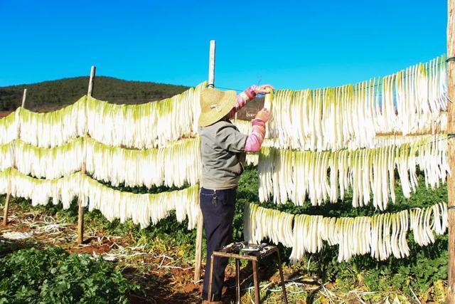 石屏县 大山自然风干萝卜干