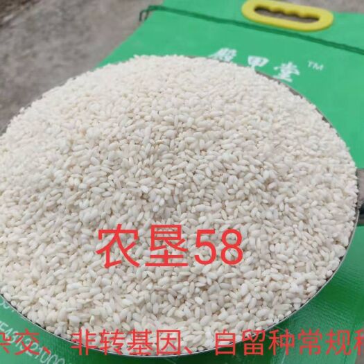 双峰县好吃的自留种农垦58