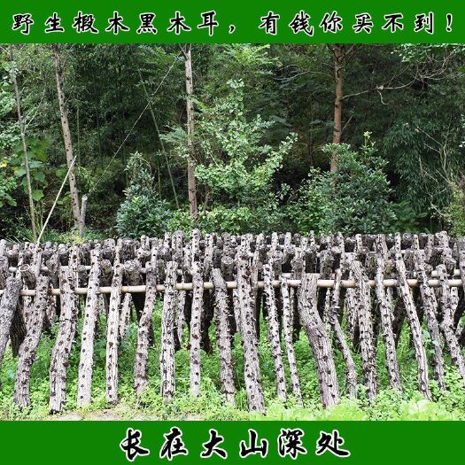 椴木黑木耳干货一斤泡12斤鲜货10斤包邮
