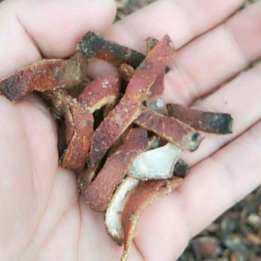 瑞金市 陈皮丝