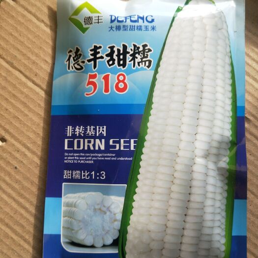 酒泉甜糯玉米种子 单交种 ≥95%