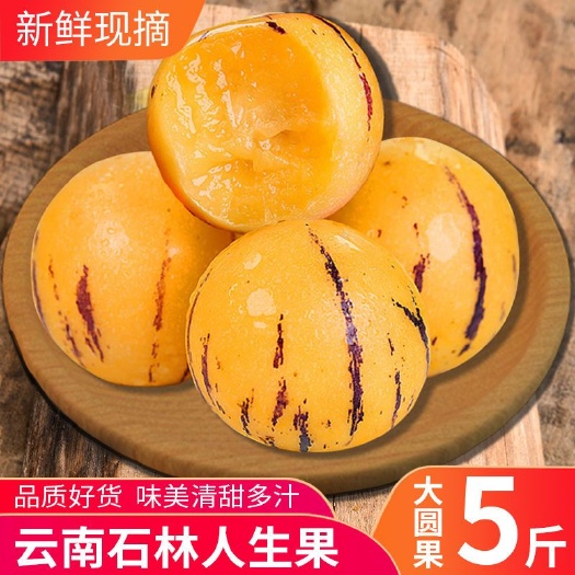 昆明 云南石林人参果圆果长果黄肉新鲜孕妇时令水果5/一件代发