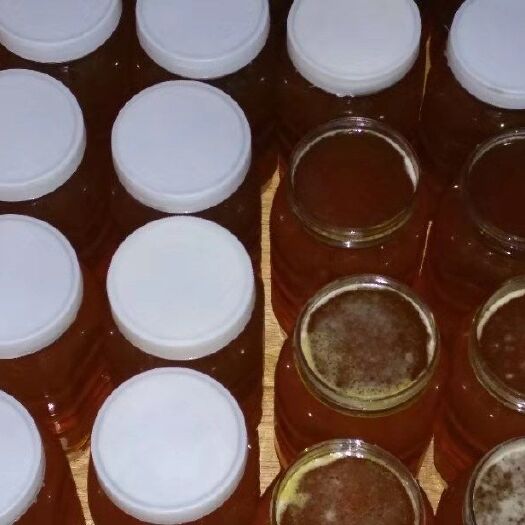 重庆市土蜂蜜 塑料瓶装 2年以上 