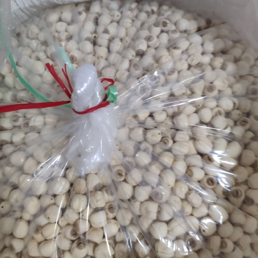 南丰县莲子干 一手货源