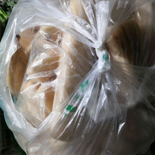 日照 精品莲藕