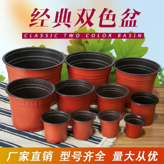 塑料盆 双色盆一次性花盆育苗盆营养钵简易特大号花盆育苗双色花盆种植盆