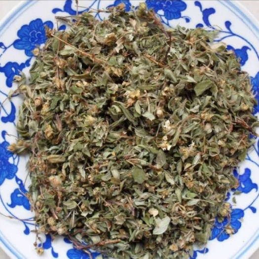 新茶  秦岭太白山高海拨云海药王茶干货孙思邈传承  500g