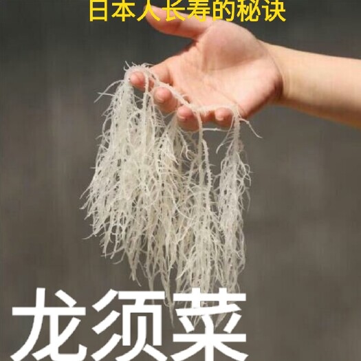 龙须菜  晒干石花菜海洋中的珍品干日本人长寿的秘诀一斤装包邮