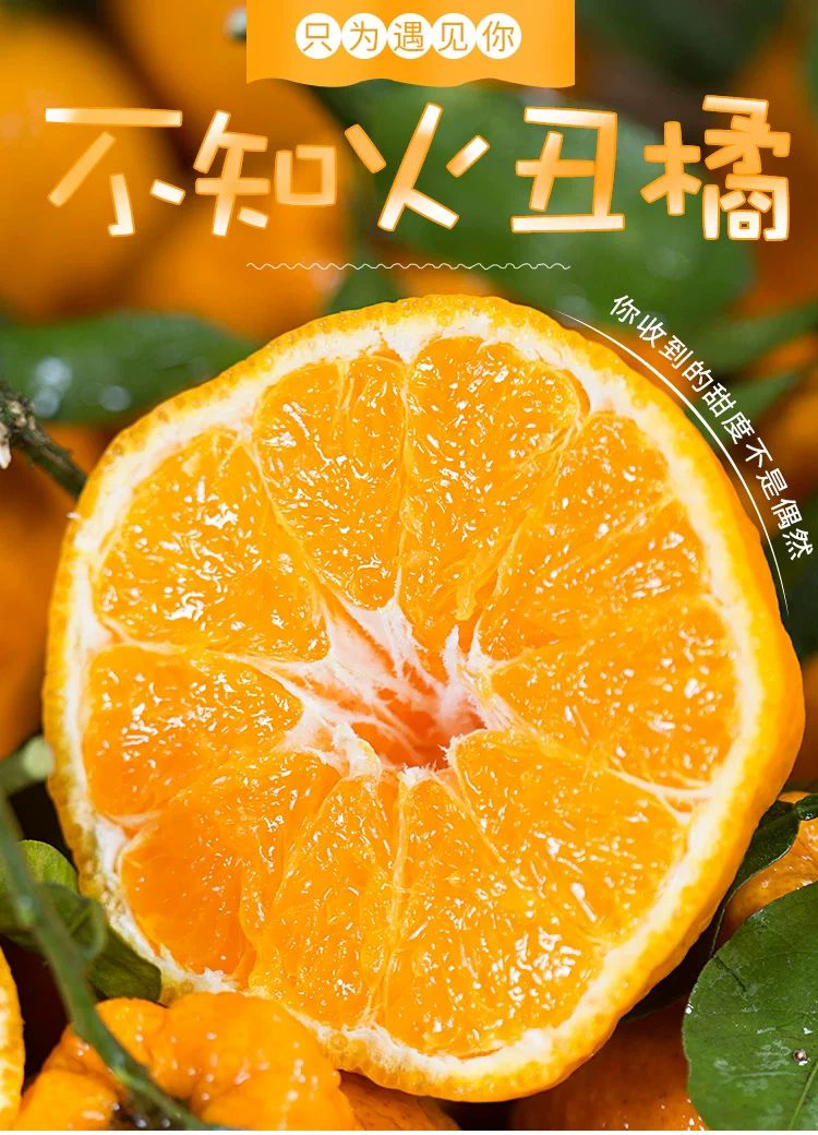 不知火苗  丑橘树苗：另外还有【沃柑-爱媛-粑粑柑-砂糖橘-血橙】高品质
