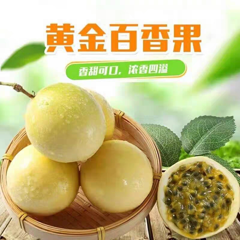 黄金百香果，新鲜当季黄金百香果现摘发货