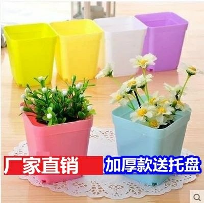 塑料盆 花盆塑料树脂方盆 时尚糖果色 简约环保 塑料花盆 多肉 七彩