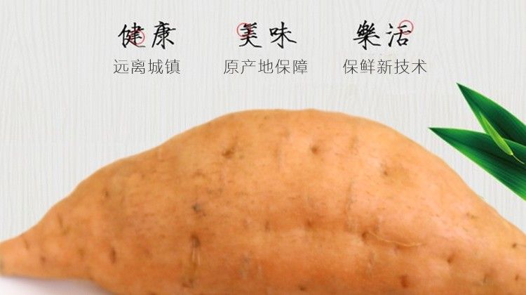 紫云红心红薯  贵州红薯 紫云红薯