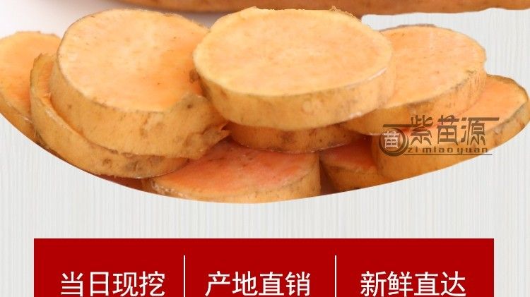 紫云红心红薯  贵州红薯 紫云红薯