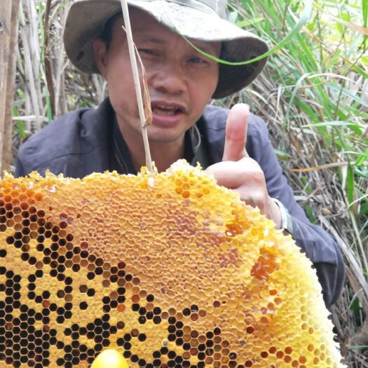 田东县 纯野生天然蜂蜜