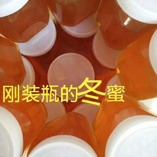 保山土蜂蜜 云南大山深处无污染仿野生一年只釆一次的百花冬蜜