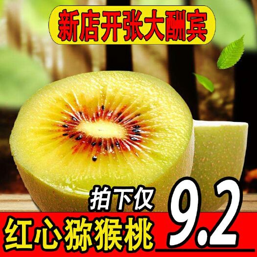 平邑县红心猕猴桃苗 红心猕猴桃自家育苗，南北均可种植包成活
