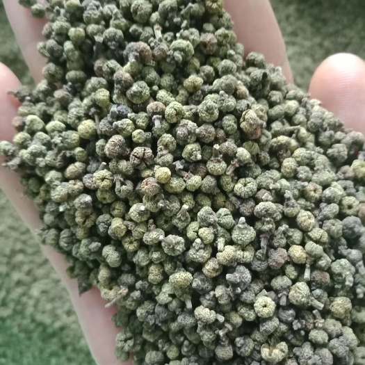 柳城县山茱萸   江西中花吴茱萸
