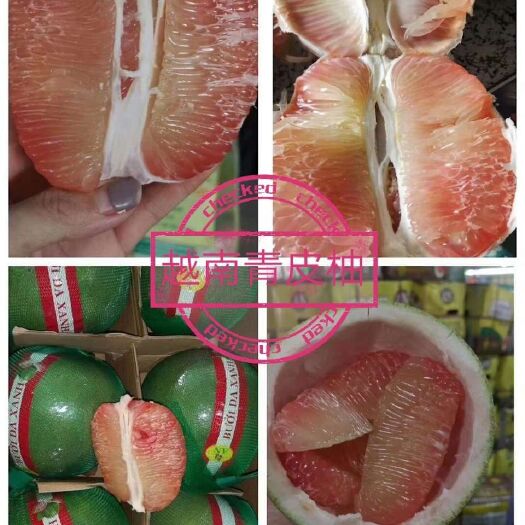 灵山县黑黄皮果苗  各种优质果苗
