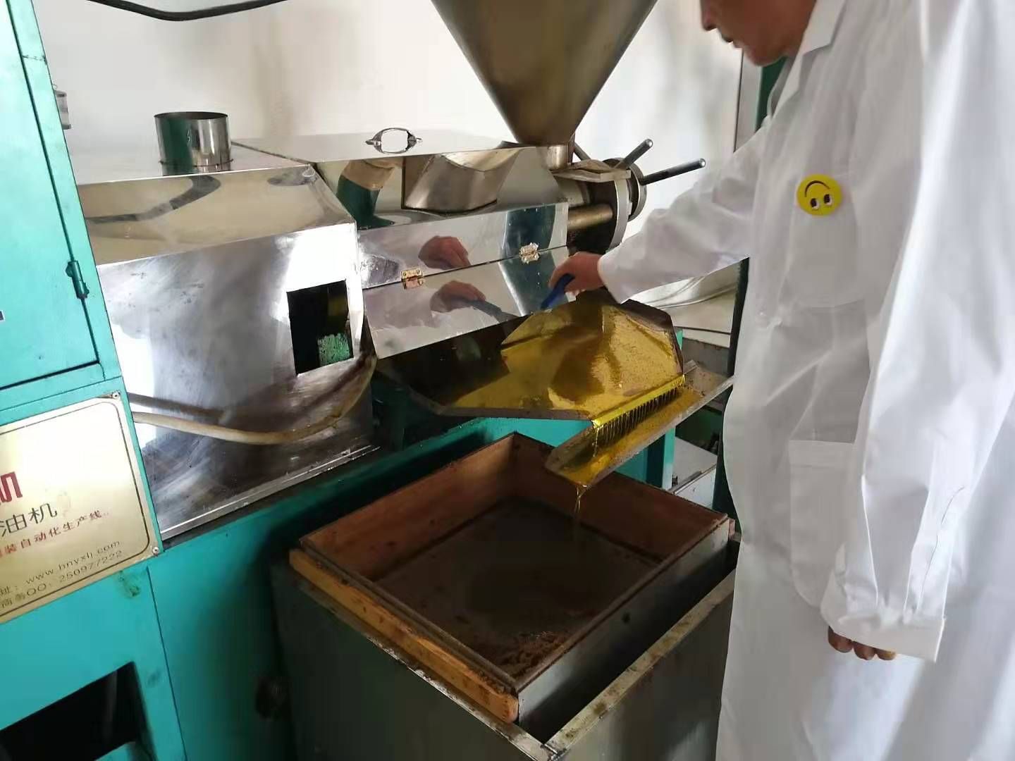  二级冷榨亚麻籽油