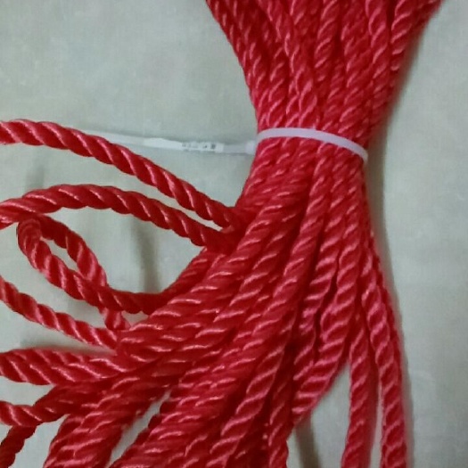 雅安捆扎绳  红色尼龙绳
