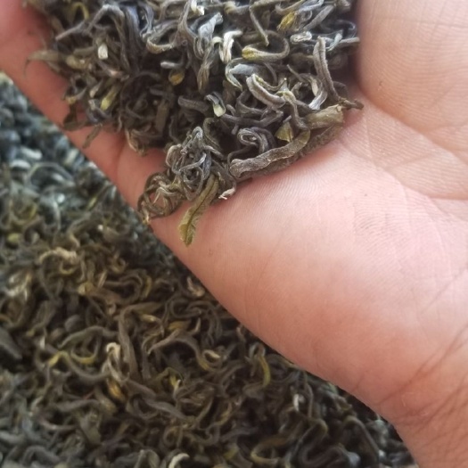 高县30一斤 绿茶
