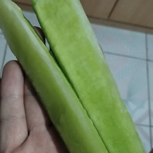 天津 天津市西青区沙窝萝卜 青萝卜 水果萝卜