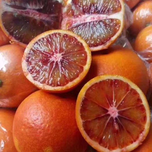 血橙苗  塔罗科1月成熟，果肉变红，与红肉脐橙不同。