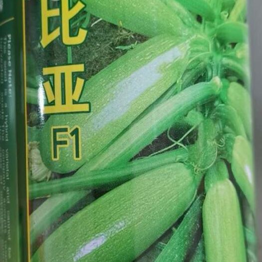 夏邑县早熟圣比亚西葫芦种子瓜条顺直皮色油绿肉质脆嫩商品性优
