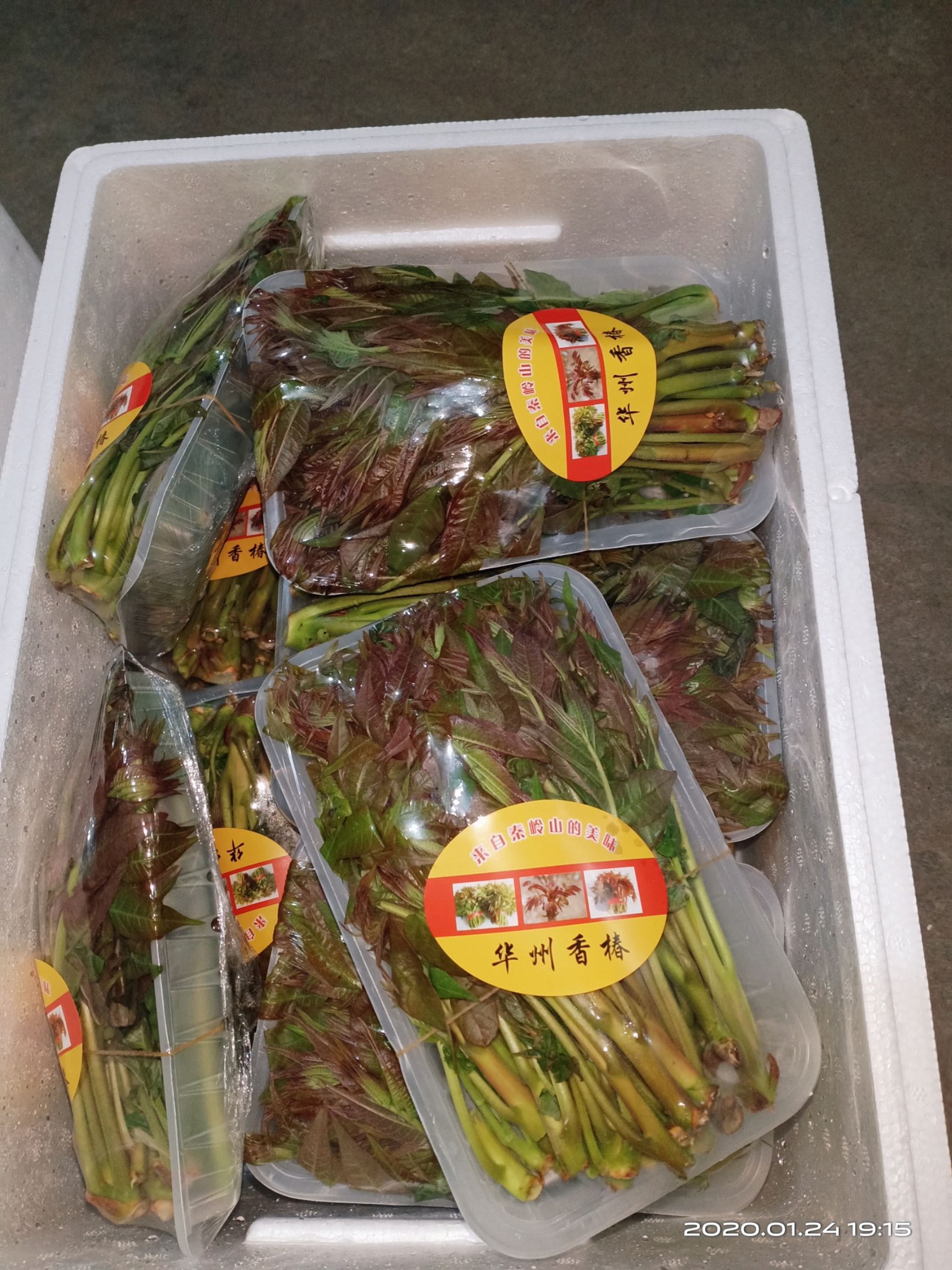 红香椿芽 精品质量，平价供应