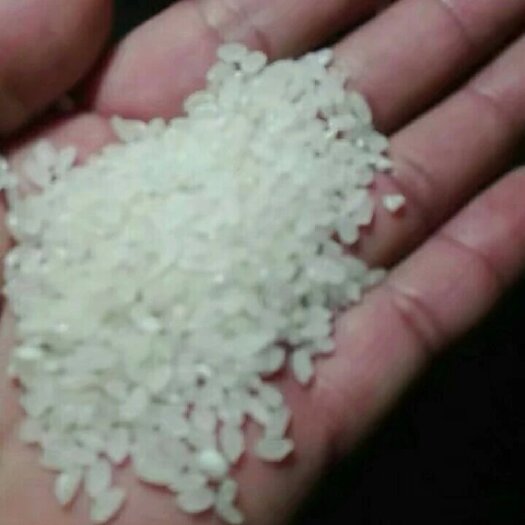 范县稻花香大米，