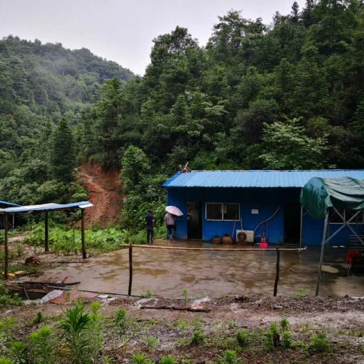 永兴县厂房 猪场出租价格可以面议