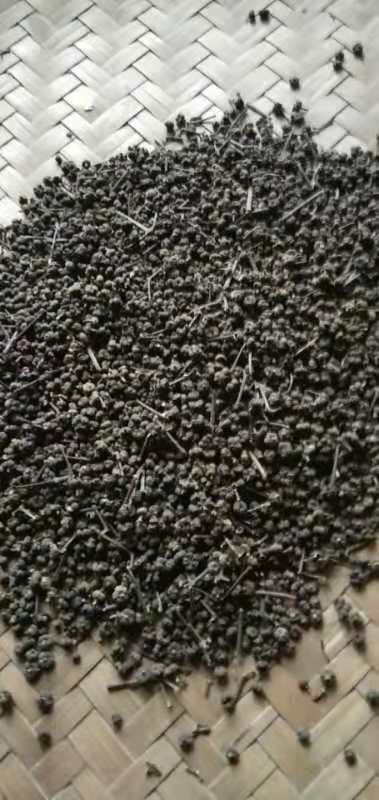 河池 已晒干的茱萸